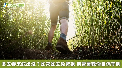 冬去春來蛇出沒？蛇來蛇去免緊張 疾管署教你自保守則